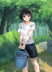 Rule 34 | 1girl, absurdres, black eyes, black hair, black shorts, breasts, bucket, day, fish, forest, grin, highres, holding, holding bucket, looking at viewer, medium breasts, mmmo3, nature, original, outdoors, parted lips, shirt, short hair, short sleeves, shorts, smile, solo, teeth, tree, water, white shirt