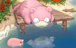 Rule 34 | commentary request, creatures (company), game freak, gen 1 pokemon, gen 3 pokemon, iwagami, leaf, looking down, luvdisc, lying, nintendo, no humans, on stomach, open mouth, pokemon, pokemon (creature), reflection, sand, shore, slowpoke, water