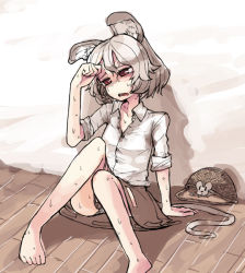 Rule 34 | 1girl, alternate costume, animal, animal ears, basket, blush, female focus, grey hair, hot, mouse (animal), mouse ears, mouse tail, nazrin, open mouth, red eyes, shirt, sitting, sleeves rolled up, solo, sweat, tail, touhou, yunuki uta