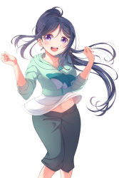 Rule 34 | 1girl, :d, blue hair, blush, dolphin print, green hoodie, green pants, highres, hood, hoodie, knees together feet apart, legs together, long hair, long sleeves, looking at viewer, love live!, love live! school idol festival, love live! sunshine!!, matsuura kanan, minamixdrops, open mouth, pants, ponytail, purple eyes, shirt, simple background, sleeves rolled up, smile, solo, very long hair, white background, white shirt