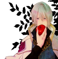 Rule 34 | 1boy, akagami no shirayukihime, apple, blonde hair, blue eyes, brothers, cape, eating, food, fruit, izana wistalia, looking at viewer, male focus, platinum blonde hair, pov, prince, red apple, siblings, solo, zen wistalia