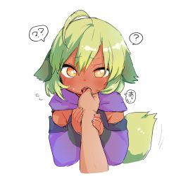 Rule 34 | 1girl, ?, ??, ahoge, animal ears, bad id, bad twitter id, blush, brown eyes, commentary request, cropped torso, dark-skinned female, dark skin, detached sleeves, disembodied limb, done (donezumi), finger in another&#039;s mouth, fingernails, flying sweatdrops, green hair, hair between eyes, hands up, long sleeves, original, purple scarf, purple sleeves, saliva, scarf, simple background, sleeves past wrists, solo focus, spoken question mark, tail, teeth, titi-chan (nezumi inu), tongue, tongue out, upper body, upper teeth only, white background