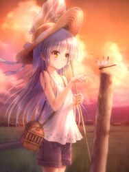 Rule 34 | 1girl, angel beats!, bug, dragonfly, goto p, grey hair, hat, highres, insect, long hair, straw hat, summer, sunset, tenshi (angel beats!), white hair, yellow eyes