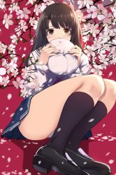 Rule 34 | 1girl, beret, black footwear, blue skirt, blush, branch, brown eyes, brown hair, caidychen, cherry blossoms, commentary, covering own mouth, hands up, hat, highres, katou megumi, kneehighs, knees up, legs together, loafers, long hair, looking at viewer, panties, pantyshot, petals, pink background, pleated skirt, red neckwear, saenai heroine no sodatekata, school uniform, serafuku, shirt, shoes, sitting, skirt, socks, solo, straight hair, underwear, white hat, white shirt