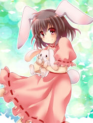Rule 34 | 1girl, animal ears, blush, brown hair, closed mouth, commentary request, dress, feet out of frame, floppy ears, frilled dress, frilled sleeves, frills, hair between eyes, holding animal, holding rabbit, inaba tewi, looking at viewer, medium hair, momozakura nanao, pink dress, rabbit, rabbit ears, rabbit girl, rabbit tail, red eyes, ribbon-trimmed dress, smile, solo, split mouth, tail, touhou