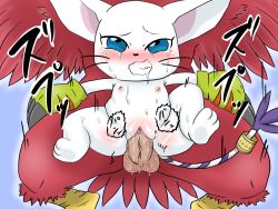 Rule 34 | artist request, bandai namco, blue eyes, blush, cat, censored, digimon, digimon (creature), furry, no humans, penis, pussy, sex, tailmon, translation request