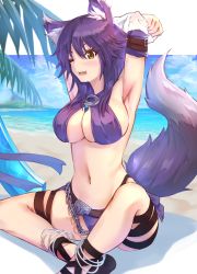 Rule 34 | 1girl, ;d, animal ear fluff, animal ears, anklet, arm belt, armpits, arms behind head, bare shoulders, beach, belt, bikini, blue sky, blush, breasts, brown belt, chain, cloud, commentary, criss-cross halter, day, fang, full body, groin, hair between eyes, halterneck, impossible clothes, impossible swimsuit, jewelry, large breasts, leg belt, long hair, looking at viewer, makoto (princess connect!), makoto (summer) (princess connect!), midriff, navel, ocean, one eye closed, open mouth, palm leaf, princess connect!, purple bikini, purple hair, rain yadori, shadow, sidelocks, sitting, sky, smile, solo, swimsuit, tail, teeth, thigh strap, underboob, undressing, upper teeth only, wolf ears, wolf tail, yellow eyes