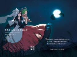 Rule 34 | 4girls, animal ears, backlighting, breasts, brooch, brown hair, clothes lift, cover, dog ears, dress, dress lift, english text, floating, fox tail, full moon, futatsuiwa mamizou, grass, green eyes, green hair, hair between eyes, height difference, highres, holding hands, imaizumi kagerou, jewelry, kasodani kyouko, lavender dress, letterboxed, long sleeves, looking afar, moon, moonlight, multicolored clothes, multicolored dress, multiple girls, multiple tails, namauni, night, night sky, outdoors, pink dress, raccoon tail, red dress, red eyes, shawl, short hair, silhouette, sky, smile, star (sky), star (symbol), tail, title, touhou, wide sleeves, wind, wolf ears, yakumo ran