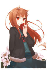 Rule 34 | 1girl, animal ears, apple, ayakura juu, brown hair, food, fruit, holding, holding food, holding fruit, holo, long hair, looking at viewer, red eyes, simple background, solo, spice and wolf, tail, white background, wolf ears, wolf tail