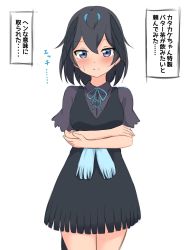 Rule 34 | 1girl, absurdres, black dress, black hair, blue eyes, blue ribbon, blue sash, blush, closed mouth, collared shirt, commentary, cowboy shot, dress, fringe trim, frown, grey shirt, head wings, highres, kemono friends, looking at viewer, neck ribbon, pinafore dress, ribbon, sash, shiraha maru, shirt, short hair, short sleeves, simple background, sleeveless, sleeveless dress, solo, standing, superb bird-of-paradise (kemono friends), sweatdrop, translated, white background, wings