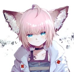 Rule 34 | 1girl, ahoge, animal ear fluff, animal ears, arknights, black choker, blue eyes, blue shirt, blush, choker, closed mouth, collarbone, commentary request, fox ears, hair between eyes, highres, jacket, kesuk0, looking at viewer, material growth, open clothes, open jacket, oripathy lesion (arknights), pink hair, shirt, simple background, solo, sussurro (arknights), upper body, white background, white jacket
