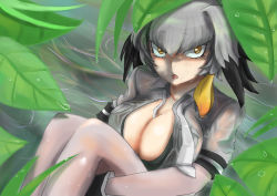 Rule 34 | 10s, 1girl, between breasts, black bra, black gloves, black hair, blush, bodystocking, bra, breast pocket, breasts, cleavage, collarbone, collared shirt, day, dripping, gloves, grey hair, grey legwear, grey necktie, grey shirt, hair between eyes, hugging own legs, john (a2556349), kemono friends, knees up, large breasts, leaf, long hair, looking at viewer, low ponytail, multicolored hair, necktie, open clothes, open mouth, open shirt, orange hair, outdoors, pocket, see-through, shade, shirt, shoebill (kemono friends), side ponytail, sitting, solo, tongue, tongue out, tsurime, underwear, undone necktie, water, wet, wet clothes, wet face, wet hair, wet shirt, wing collar, yellow eyes