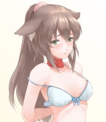 Rule 34 | 1girl, animal ears, arms behind back, blue bra, blush, bra, breasts, brown hair, collar, dog ears, ears down, green eyes, long hair, looking at viewer, original, ponytail, simple background, small breasts, solo, strap slip, tsukiyo umi, underwear, undressing, upper body