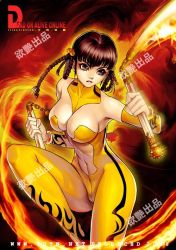 Rule 34 | breasts, brown hair, chinese text, cleavage, dead or alive, large breasts, lei fang, nunchucks, sayo tanku, tecmo