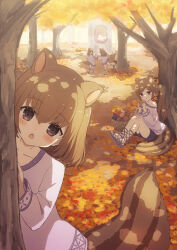Rule 34 | 4girls, animal ears, autumn, autumn leaves, basket, blush, brown eyes, chestnut mouth, chewing, chipmunk ears, chipmunk girl, chipmunk tail, eating, flats, food, highres, holding, holding food, looking at viewer, multiple girls, off shoulder, open mouth, original, peeking out, shorts, side ponytail, sitting, squirrel ears, squirrel girl, squirrel tail, sunlight, tail, tree, tyakomis, walking