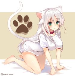 Rule 34 | 1girl, :o, all fours, anceril sacred, animal ears, animal print, bad id, bad twitter id, barefoot, bottomless, breasts, cat ears, cat print, cat tail, chestnut mouth, collar, feet, green eyes, hair ribbon, long hair, looking at viewer, mishima kurone, naked shirt, no pants, original, outside border, paw print, ribbon, shirt, solo, t-shirt, tail, text focus, toes, twitter username, white hair