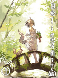 Rule 34 | 1girl, absurdres, ahoge, animal, bare shoulders, barefoot, bridge, brown eyes, closed mouth, commentary request, dress, fox, grey hair, highres, holding, horns, long sleeves, looking at viewer, looking to the side, off-shoulder dress, off shoulder, original, plant, river, smile, solo, tail, tail raised, translation request, tree, walking, water, white dress, wide sleeves, yuuji (yukimimi)