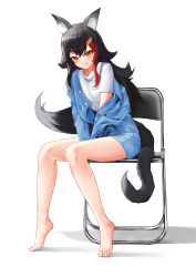 Rule 34 | 1girl, absurdres, alternate costume, animal ear fluff, animal ears, bad id, bad pixiv id, bare legs, barefoot, between legs, black hair, blue jacket, blue shorts, blush, breasts, chair, closed mouth, commentary, crossed bangs, denim, denim jacket, denim shorts, full body, hair between eyes, hair flaps, hair ornament, hand between legs, highres, hololive, jacket, licking lips, long hair, looking at viewer, medium breasts, multicolored hair, off shoulder, ookami mio, open clothes, open jacket, orange eyes, red hair, shirt, short shorts, short sleeves, shorts, silver hair, simple background, sitting, smile, solo, streaked hair, tail, tiptoes, toes, toi1et paper, tongue, tongue out, virtual youtuber, white background, white shirt, wolf ears, wolf tail