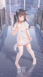 Rule 34 | 1girl, animal collar, animal ear fluff, animal ears, black hair, blue eyes, blush, breasts, cat ears, cat tail, collar, commentary request, extra ears, fake animal ears, fence, full body, grin, highres, jcj0125, lane line, naked shirt, no bra, no pants, original, rain, road, see-through, see-through shirt, shirt, shirt hold, small breasts, smile, solo, stairs, street, tail, thighhighs, twintails, water, wet, wet clothes, wet legwear, wet shirt, white shirt, white thighhighs