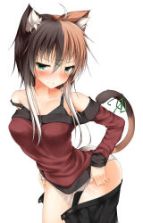 Rule 34 | 1girl, absurdres, ahoge, animal ears, bare shoulders, black bra, black skirt, blush, bra, brown hair, buttons, calico, cat ears, cat tail, closed mouth, collarbone, contrapposto, frown, green eyes, green ribbon, hair between breasts, hair between eyes, hair ornament, hairclip, highres, leaning forward, mage (335656), multicolored hair, off-shoulder, off-shoulder sweater, off shoulder, open clothes, open skirt, original, panties, pleated skirt, ribbon, simple background, skirt, solo, split-color hair, standing, suggestive fluid, sweatdrop, sweater, tail, tail ornament, tail ribbon, teardrop, tears, tsurime, unbuttoned, underwear, unzipped, white background, white hair, white panties, zipper
