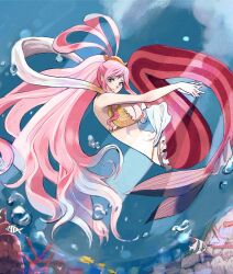 Rule 34 | 1girl, aomushimm, bikini, blue eyes, bubble, commentary request, curled up, fish, fish hair ornament, hagoromo, hair ornament, half updo, highres, light smile, long hair, looking at viewer, mermaid, monster girl, one piece, pink hair, shawl, shirahoshi, solo, swimsuit, underwater, very long hair, yellow bikini