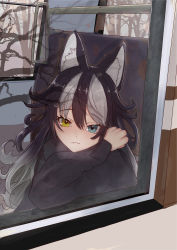 Rule 34 | 1girl, absurdres, alternate costume, animal ears, black hair, black sweater, blue eyes, casual, closed mouth, commentary request, contemporary, fang, fang out, grey hair, grey wolf (kemono friends), hand up, head rest, heterochromia, highres, kemono friends, long hair, long sleeves, multicolored hair, ponta (matsuokazieg), reflection, solo, sweater, train interior, two-tone hair, window, wolf ears, wolf girl, yellow eyes