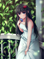Rule 34 | 1girl, bare arms, bare shoulders, black hair, blue eyes, blush, breasts, collarbone, dress, flower, hair flower, hair ornament, highres, long hair, looking at viewer, nicoby, original, railing, sleeveless, sleeveless dress, smile, solo, standing, very long hair, white dress