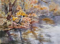 Rule 34 | akemisuisai, autumn, autumn leaves, branch, day, forest, grass, nature, no humans, original, painting (medium), reflection, reflective water, river, riverbank, scenery, sunlight, traditional media, tree, tree shade, water, watercolor (medium)