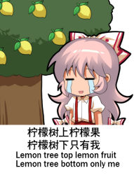 Rule 34 | 1girl, = =, bilingual, bow, chibi, chinese commentary, chinese text, closed eyes, collared shirt, commentary request, crying, dress shirt, food, fruit, fujiwara no mokou, hair bow, hard-translated, jokanhiyou, lemon, long hair, mixed-language text, open mouth, pants, pink hair, puffy short sleeves, puffy sleeves, red pants, red trim, shirt, short sleeves, sidelocks, smile, solo, streaming tears, suspenders, tears, third-party edit, touhou, translated, tree, white bow, white shirt