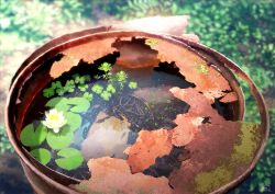 Rule 34 | animal, blurry, blurry background, clover, commentary request, damaged, day, detached sleeves, drum (container), fish, flower, flower on liquid, four-leaf clover, japanese rice fish, lily pad, lotus, mocha (cotton), no humans, original, outdoors, rust, scenery, sunlight, water, white flower