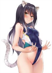 Rule 34 | 1girl, animal ear fluff, animal ears, bare shoulders, black hair, blue one-piece swimsuit, blush, breasts, competition swimsuit, gradient hair, grey hair, highleg, highleg swimsuit, long hair, looking at viewer, marisasu (marisa0904), medium breasts, multicolored hair, navel, one-piece swimsuit, princess connect!, shiori (princess connect!), simple background, solo, striped tail, swimsuit, tail, thighs, tiger ears, tiger girl, tiger tail, white background, yellow eyes