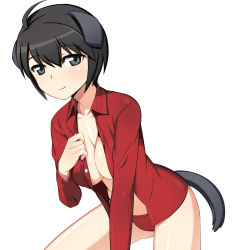 Rule 34 | 1girl, animal ears, black hair, breasts, caryo, cleavage, dog ears, dog tail, grey eyes, leaning forward, looking at viewer, lowres, luciana mazzei, nanashino, open clothes, open shirt, panties, red panties, shirt, short hair, simple background, smile, solo, strike witches, strike witches: kurenai no majo-tachi, tail, underwear, white background, world witches series