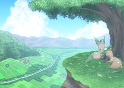 Rule 34 | alternate color, animal focus, artist request, bird, cloud, creatures (company), day, game freak, gen 4 pokemon, grass, hill, house, leafeon, lying, nintendo, no humans, pokemon, pokemon (creature), shiny pokemon, sky, tree