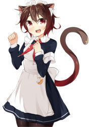 Rule 34 | 10s, 1girl, animal ears, apron, bad id, bad pixiv id, brown hair, cat ears, cat tail, dress, gradient hair, kankitsunabe (citrus), kantai collection, maid, maid apron, multicolored hair, mutsuki (kancolle), pantyhose, red eyes, short hair, solo, strap slip, tail