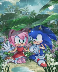 Rule 34 | amy rose, animal ears, animal nose, blue fur, boots, dress, flower, furry, furry female, furry male, glass, gloves, gold bracelet, green eyes, hairband, hedgehog, hedgehog ears, hedgehog tail, highres, leaf, leaf on head, leaf umbrella, open mouth, pink fur, r131q, rain, red dress, red footwear, red hairband, shadow, shoes, sonic (series), sonic frontiers, sonic the hedgehog, tail, tree, white gloves