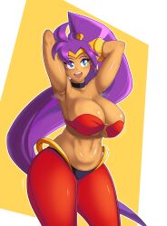 Rule 34 | 1girl, absurdres, armpits, arms behind head, black choker, breasts, choker, cowboy shot, curvy, earrings, harem pants, highres, jewelry, large breasts, linkxs, midriff, navel, o-ring, pants, plump, pointy ears, ponytail, purple hair, see-through, shantae, shantae (series), simple background, smile, solo, stomach, sweat, tan, thick thighs, thighs, tiara