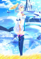Rule 34 | absurdres, braid, breasts, crown braid, curly hair, day, floating city, grass, head wings, highres, juliet sleeves, long sleeves, looking at viewer, medium breasts, melia antiqua, nintendo, o-ring, outdoors, puffy sleeves, risumi (taka-fallcherryblossom), silver hair, sky, smile, solo, thighhighs, wings, xenoblade chronicles: future connected, xenoblade chronicles (series), xenoblade chronicles 1