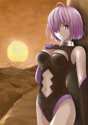 Rule 34 | 1girl, ahoge, asymmetrical gloves, black gloves, black leotard, bosutonii, breasts, cleavage, cleavage cutout, clothing cutout, cloud, cloudy sky, cowboy shot, elbow gloves, fate/grand order, fate (series), gloves, hair between eyes, highleg, highleg leotard, highres, leotard, looking at viewer, mash kyrielight, medium breasts, midriff, navel, outdoors, parted lips, pink hair, purple eyes, purple gloves, short hair, sky, solo, stomach, stomach cutout, sunset, uneven gloves