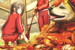 Rule 34 | 1girl, 1other, aiuabo, animal, autumn leaves, bamboo broom, black hair, blush, broom, bucket, building, commentary request, dog, hair ornament, hair over one eye, hairpin, head out of frame, holding, holding broom, jacket, long hair, long sleeves, looking at animal, original, outdoors, pants, ponytail, red jacket, red pants, red track suit, shoes, smile, sneakers, squatting, sweatdrop, sweeping, tongue, tongue out, track jacket, track suit, window
