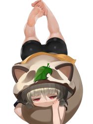 Rule 34 | 1girl, animal ears, animal hood, ass, barefoot, bike shorts, black shorts, blunt bangs, dokomon, expressionless, fake animal ears, fake tail, feet, genshin impact, hand on own cheek, hand on own face, highres, hood, hugging own tail, hugging tail, japanese clothes, kimono, kneepits, leaf, leaf on head, legs, legs up, looking at viewer, low twintails, lying, hugging object, on stomach, raccoon ears, raccoon hood, raccoon tail, red eyes, sayu (genshin impact), short hair, short kimono, short shorts, short twintails, shorts, silver hair, soles, solo, tail, thighs, toes, twintails