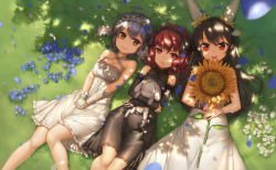 Rule 34 | 3girls, :d, ahoge, animal ears, artery gear, bare shoulders, black hair, black ribbon, blue flower, blue hair, blurry, breasts, brown eyes, cleavage, closed mouth, criss-cross halter, dappled sunlight, day, depth of field, detached sleeves, dress, fake animal ears, flower, frilled sleeves, frills, girl sandwich, grass, hair ribbon, hairband, half-closed eyes, halterneck, highres, holding, holding flower, leila pegas, lolita fashion, lolita hairband, long hair, long sleeves, looking at viewer, looking up, lying, medium breasts, mel cyclop, multiple girls, nio silen, on back, open mouth, outdoors, petals, pink eyes, qingmingtongzi, rabbit ears, red eyes, red hair, ribbon, round teeth, sandwiched, scrunchie, short hair, sleeveless, sleeveless dress, smile, stuffed animal, stuffed rabbit, stuffed toy, sunflower, sunlight, tareme, teeth, v arms, white dress, wind, wrist scrunchie, wristband, x x
