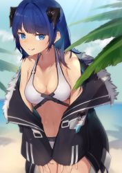 Rule 34 | 1girl, arknights, beach, black jacket, blue eyes, blue hair, bra, commentary request, demon girl, demon horns, fallen angel, fur-trimmed jacket, fur trim, hands on own thighs, highres, horns, jacket, leaning forward, long hair, looking at viewer, mostima (arknights), open clothes, open jacket, outdoors, panties, shirt, smile, solo, sports bra, sweat, tongue, tongue out, torikaze ito, underwear, white bra, white panties, white shirt