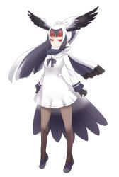 Rule 34 | 10s, 1girl, arms at sides, bird tail, bird wings, black bow, black bowtie, black footwear, black gloves, black hair, blonde hair, blunt bangs, bow, bowtie, brown pantyhose, closed mouth, dress, eyebrows, feathered wings, feathers, full body, gloves, hair ribbon, head wings, high ponytail, ise (0425), kemono friends, legs apart, loafers, long hair, long sleeves, multicolored hair, pantyhose, red eyes, red hair, ribbon, sailor collar, sailor dress, scarf, shoes, sidelocks, simple background, sleeve cuffs, solo, tail, very long hair, white-naped crane (kemono friends), white background, white hair, white ribbon, white sailor collar, wings