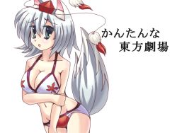 Rule 34 | 1girl, animal ears, bikini, blush, breasts, cleavage, easily, grey eyes, groin, hanging breasts, hat, inubashiri momiji, large breasts, looking at viewer, navel, open mouth, short hair, silver hair, solo, swimsuit, tail, tokin hat, touhou, wolf ears, wolf tail