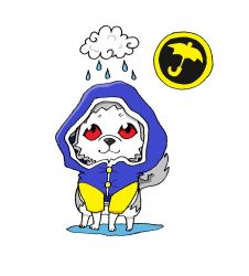 Rule 34 | coat, dog, happy, hood, koromaru (persona), megami tensei, persona, persona 3, rain, red eyes, shin megami tensei