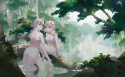 Rule 34 | 2girls, aqua eyes, back, backless dress, backless outfit, bare shoulders, barefoot, branch, breasts, cleavage, dress, feet, female focus, green eyes, grey hair, long hair, looking at viewer, looking back, medium breasts, mizuya, multiple girls, nature, partially submerged, sitting, smile, standing, tree, wading, water, white dress