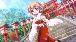 Rule 34 | 1girl, ahoge, blue eyes, blue sky, breasts, broom, day, dot nose, dutch text, film grain, from below, game cg, gravel, hair ornament, hairclip, hakama, holding, holding broom, izumi tsubasu, japanese clothes, kimono, leaf, lens flare, looking at viewer, miko, non-web source, official art, open mouth, outdoors, rainbow, re:stage!, red hakama, shikimiya mana, short hair, shrine, side slit, sky, small breasts, smile, solo, sparkle, stairs, stone stairs, sunlight, sweeping, torii, tree, white kimono