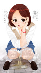 Rule 34 | 1girl, blush, brown eyes, brown footwear, brown hair, dedenden (pixiv30568724), highres, open mouth, original, outdoors, panties, panty pull, pee, pee stain, peeing, school uniform, socks, solo, squatting, stained clothes, stained panties, translation request, underwear, white socks