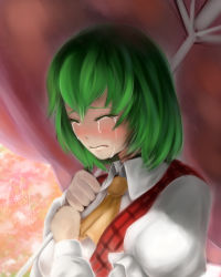Rule 34 | 1girl, arch-vile, artist name, ascot, bad id, bad pixiv id, crying, dated, closed eyes, green hair, highres, juliet sleeves, kazami yuuka, long sleeves, parted lips, pink background, plaid, plaid vest, puffy sleeves, short hair, solo, streaming tears, tears, touhou, umbrella, vest