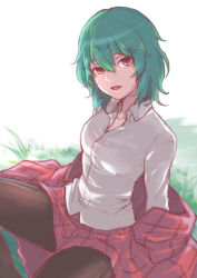 Rule 34 | 1girl, breasts, brown pantyhose, commentary request, grass, green hair, hair between eyes, head tilt, kazami yuuka, long sleeves, looking at viewer, medium breasts, miniskirt, open mouth, pantyhose, re (re 09), red eyes, red lips, red skirt, shirt, simple background, sitting, skirt, solo, touhou, white background, white shirt, wing collar